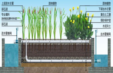 垂直潛流人工濕地系統(tǒng)