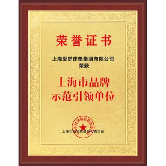 上海市品牌示范引領(lǐng)單位